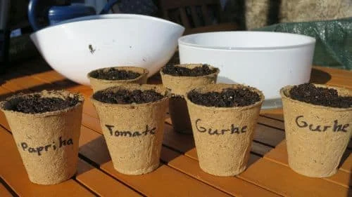 Es wird Zeit die Anzucht zu starten